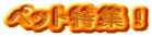 ybgWI 